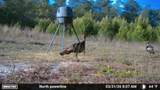 0 Laird Road - Photo 37