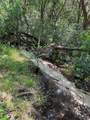 0 Laird Road - Photo 5