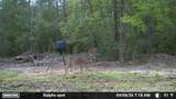 0 Laird Road - Photo 52