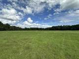 Parcel H County Road 20 / New Ebenezer Road - Photo 13