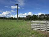 Parcel H County Road 20 / New Ebenezer Road - Photo 26