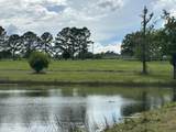 Parcel H County Road 20 / New Ebenezer Road - Photo 5