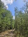 1087 Brake Road - Photo 14