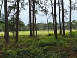 123 Old Creek Trail - Photo 8