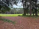134 Old Creek Trail - Photo 8