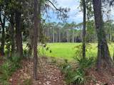 134 Old Creek Trail - Photo 9