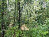30 Acres Old Airport Road - Photo 2