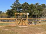 4000 Gulf Terrace Drive - Photo 25