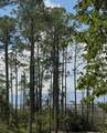 Lot 9 19th Street - Photo 2