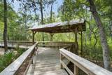 266 Sweet Tea Lane - Photo 81