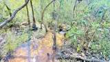 2.84 Acres White Road - Photo 3