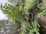 5266 Choctaw Road - Photo 22