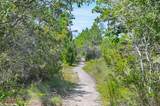 637 Flatwoods Forest Loop - Photo 34