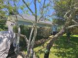 1131 Bay - Photo 9
