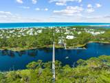367 Royal Fern Way - Photo 41