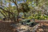 55 Shannon Drive - Photo 68