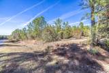 000 Williams Road - Photo 11