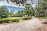 60 Spartina Circle - Photo 57