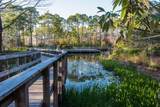 4 Watercolor Boulevard - Photo 59
