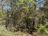 Lot 8BLK2 Belle Highland Blvd Boulevard - Photo 6