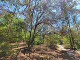 10 Acres Annie Jo Road - Photo 3