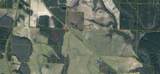 13325 Us Highway 331 - Photo 22