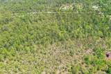 7.25 acres Jolly Bay Road - Photo 11