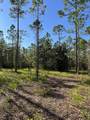 7.25 acres Jolly Bay Road - Photo 13