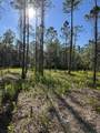 7.25 acres Jolly Bay Road - Photo 14