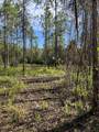 7.25 acres Jolly Bay Road - Photo 16