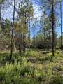 7.25 acres Jolly Bay Road - Photo 18
