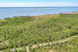 7.25 acres Jolly Bay Road - Photo 6