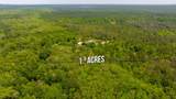 1.88 Acres Riverview Loop - Photo 6