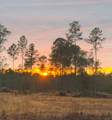 1632 Joe Dugger Road - Photo 5
