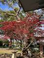 113 Sotir Street - Photo 42
