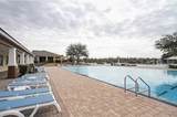 446 Mango Lane - Photo 63