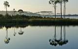 Lot 8 Wilderness Way - Photo 1