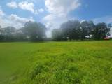 32 acres Williams Road - Photo 10