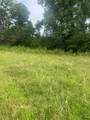 32 acres Williams Road - Photo 4