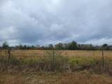 32 acres Williams Road - Photo 7