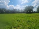 32 acres Williams Road - Photo 9