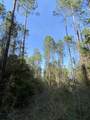 TBD Hwy 602 - Photo 10