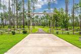 3183 Hwy 602 - Photo 9