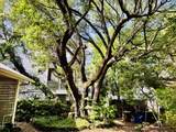 48 Live Oak Street - Photo 17