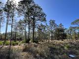 Lot 3 Jeep Road - Photo 8