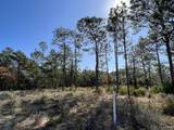 Lot 3 Jeep Road - Photo 9