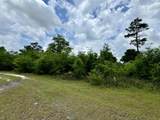 Lot 12 Grassy Pond Road - Photo 10