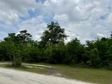 Lot 12 Grassy Pond Road - Photo 11