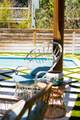 50 Camellia Street - Photo 76