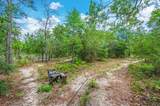 5420 Flag Tail Lane - Photo 52